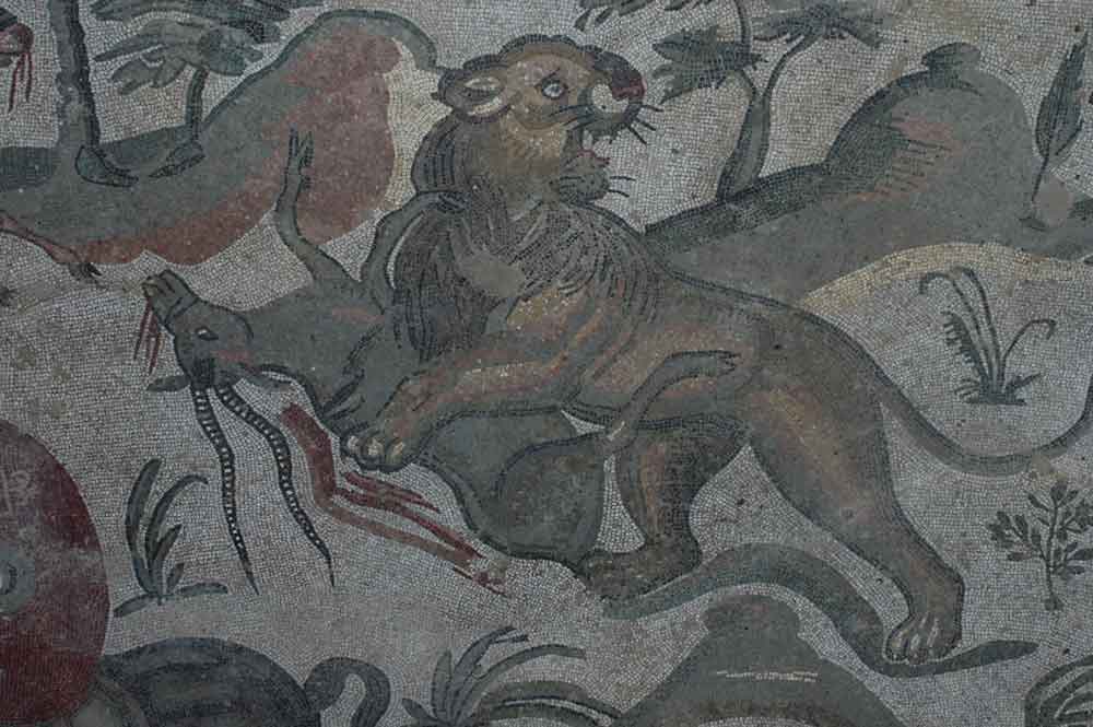 52 - Italia - Sicilia - Piazza Armerina - villa romana de Casale - mosaico